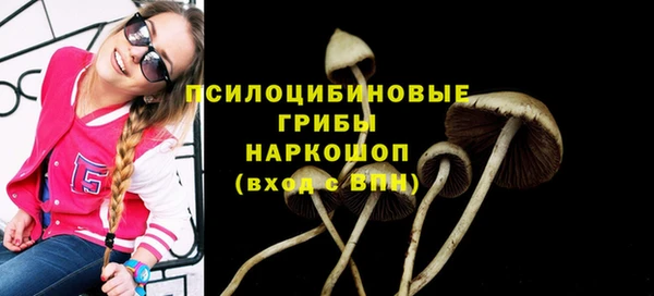 ГАЛЛЮЦИНОГЕННЫЕ ГРИБЫ Белоозёрский