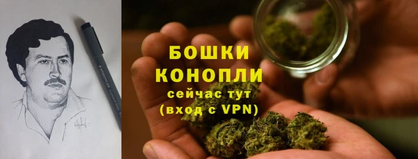 крисы Белокуриха