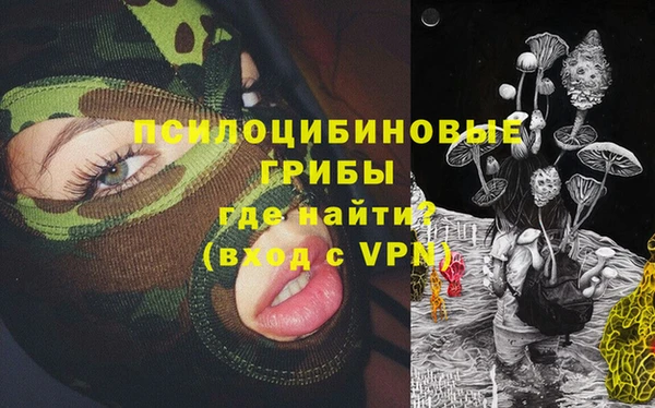 крисы Белокуриха