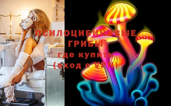 ГАЛЛЮЦИНОГЕННЫЕ ГРИБЫ Белоозёрский
